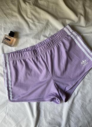 Лавандовые спортивные шорты adidas