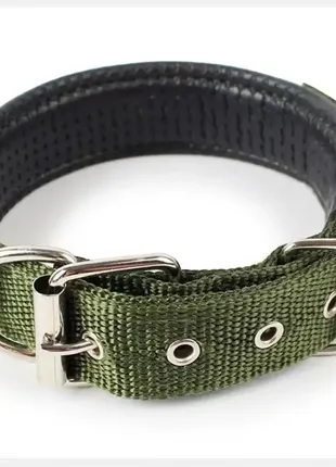 Зелений капроновий нашийник для собак і котів із залізною пряжкою