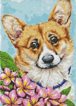 Алмазна мозаїка "весняна радість" ©анна кулик amo7546 ідейка 30х40 см