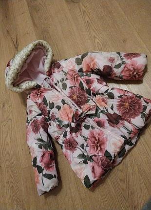 Куртка весна осінь