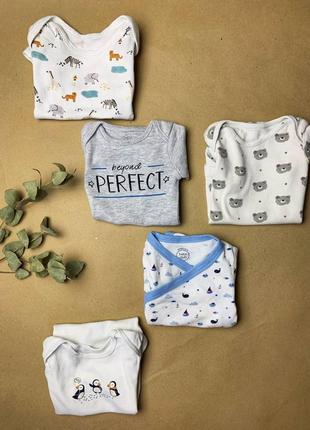 Нежный боди с морской тематикой baby club
