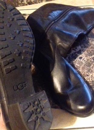 Ugg сапоги кожа)