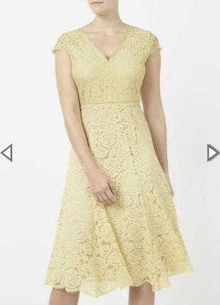 Шикарну мереживну сукню міді, ошатне мереживне плаття,