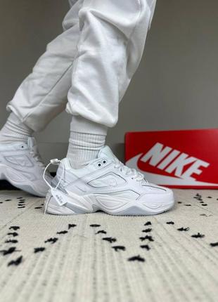 Кроссовки nike m2k tekno white grey