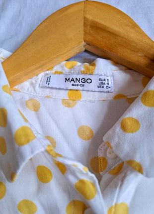 Блуза в жёлтый горошек, летняч блуза mango2 фото