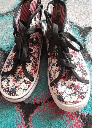 Кеди 2