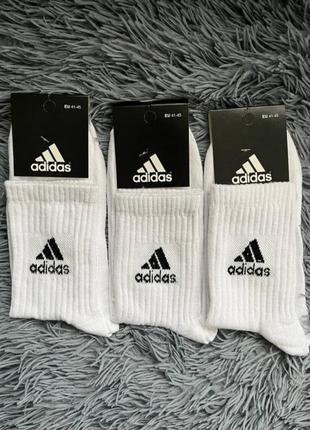 Шкарпетки adidas чоловічі, спортивні, носки найк