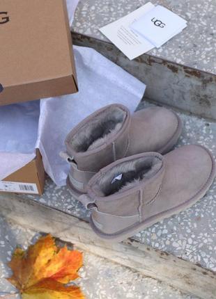 Шикарні хутряні чобітки ugg mini mokko в сірому кольорі (осінь-зима-весна)😍8 фото