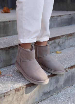 Шикарні хутряні чобітки ugg mini mokko в сірому кольорі (осінь-зима-весна)😍9 фото