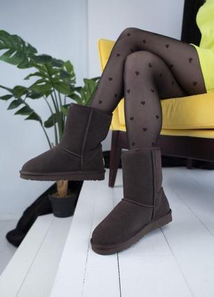 😍жіночі коричневі уггі😍замшеві зимові угі/чоботи з хутром