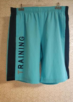 Мужские шорты для спорта тренировки casual бренд crivit, р.48-50