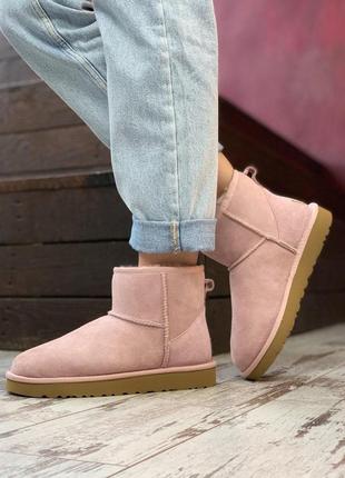 Удобные зимние сапожки ugg classic ii mini в розовом цвете (осень-зима-весна)😍