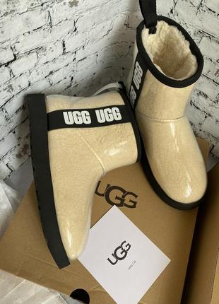 Чоботи, сапоги ugg( ugg,угг, уги)