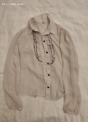 Gloria jean's, блузка,сорочка,155 160.
