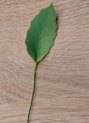 Листочки 2