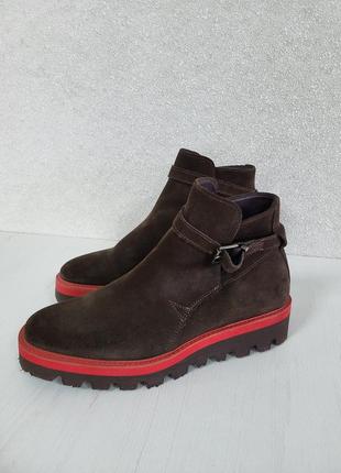 Жіночі черевики angel infantes