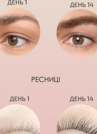 Масло для роста ресниц и бровей robeauty4 фото