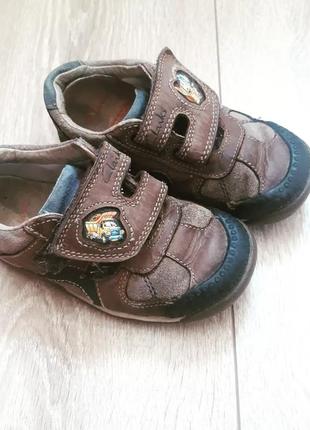Обувь для мальчика, кеды, кроссовки, ботинка clarks