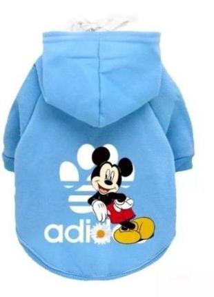 Худі для собак