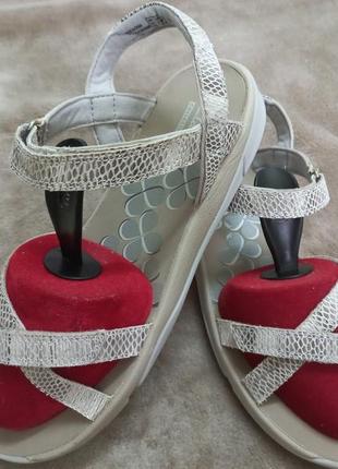Босоножки сандали фирменные кожа жен 38р. clarks индонезии1 фото