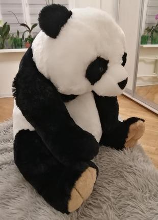 Панда 🐼
