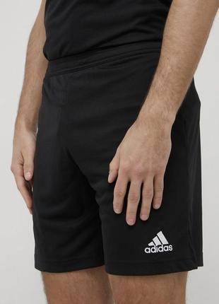 Шорты для тренировок adidas performance entrada 221 фото