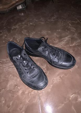 Шкіряні кросівки ecco