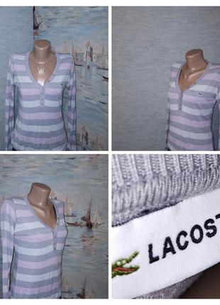 Жіночий лонг lacoste, жіноча футболка з довгим рукавом, жіночий джемпер, жіночий реглан, жіночий лонгслів у смужку, жіночий одяг