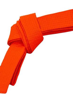 Пояс для кімоно champion