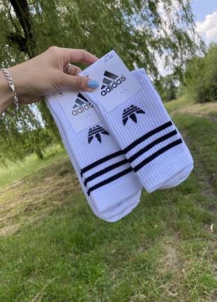 Високі спортивні шкарпетки adidas, носки адідас тренувальні, унісекс