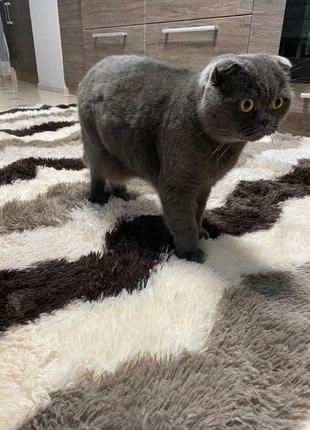 Килим травка зіг заг (200 см х 150 см)