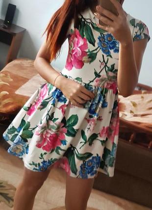 Плаття/сукні