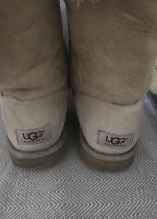 Сапожки, ботинки  , ugg, оригинал3 фото