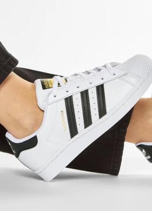 Жіночі білі кросівки adidas superstar original розмір 36