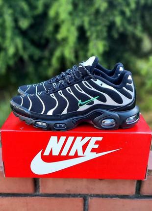 Nike air max plus triple