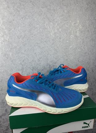 Беговые спортивные кроссовки puma ignite ultimate (26 см)