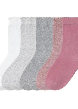 Набор хлопковых носок kuniboo