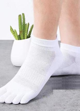 Шкарпетки низькі з пальцями жіночі luoyi socks 36-39 білий