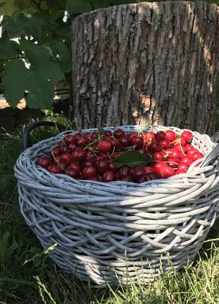 Корзина для фруктов и овощей