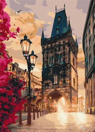 Картина за номерами прага bs44286