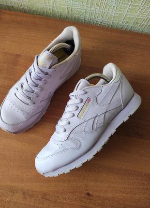 Reebok кросівки