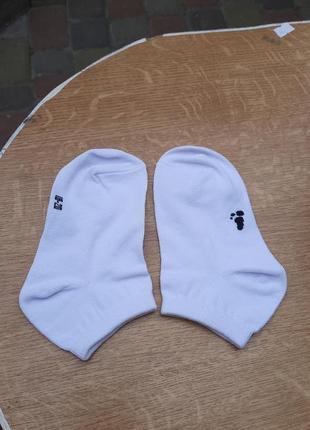 Шкарпетки  носки носочки1 фото