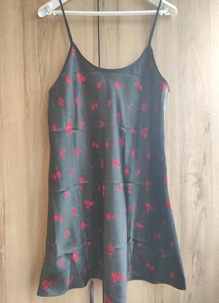 Нічнушка, атлас