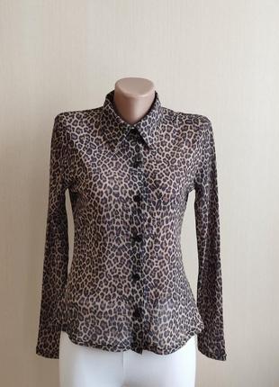 Сорочка  з анімалистичним принтом hennes collection