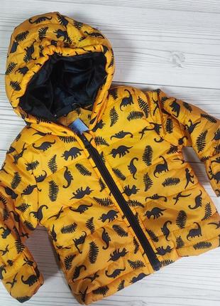 Демісезонна куртка з динозаврами3 фото