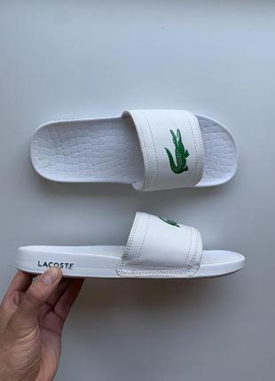 Тапочки lacoste1 фото