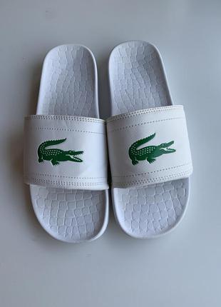 Тапочки lacoste2 фото