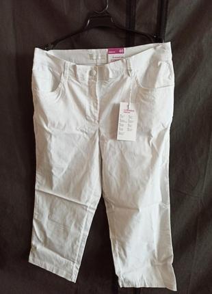 Бриджи женские,слониния, corinna оригинал, новые 50-56 р-р