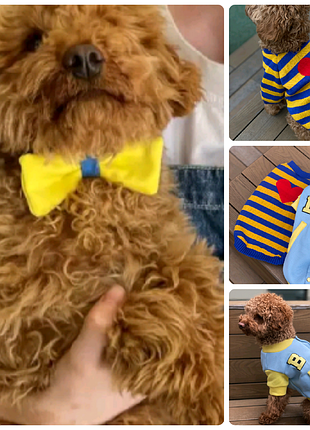 Бабочка для собак и котов