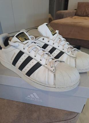 Кросівки adidas superstar